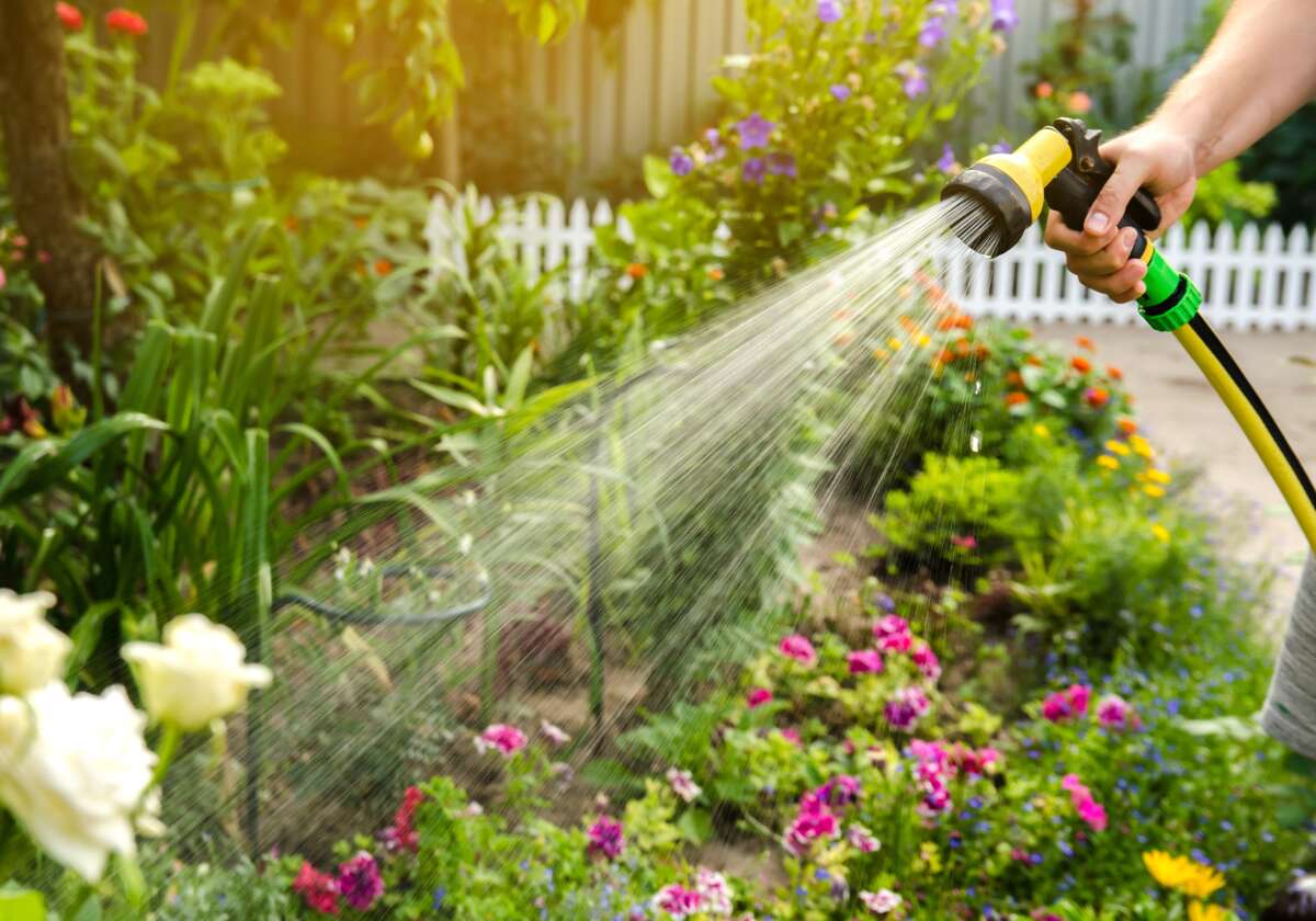 Jak skutecznie nawadniać ogród w czasie upałów?