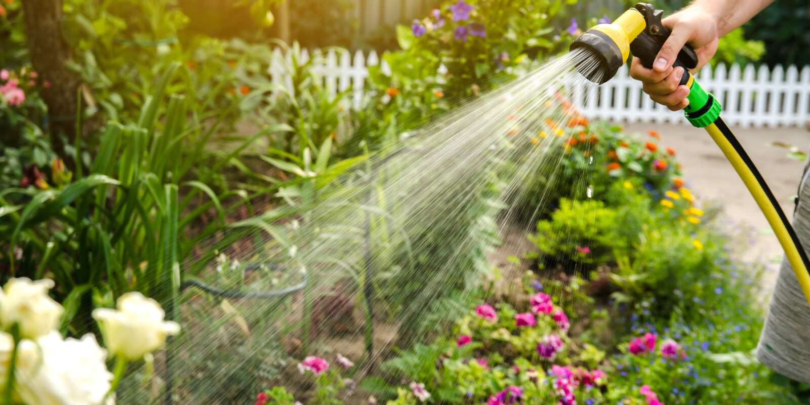 Jak skutecznie nawadniać ogród w czasie upałów?